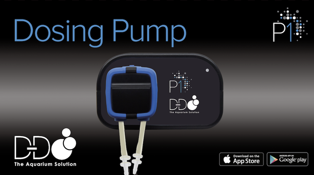 D-D Dosierpumpe P1