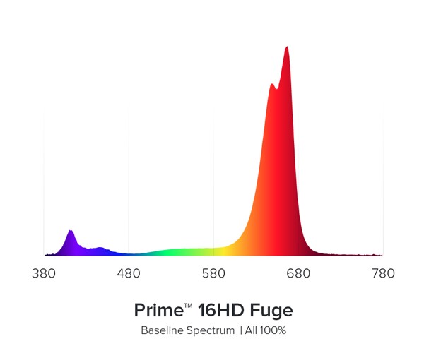 AI Prime FUGE schwarz