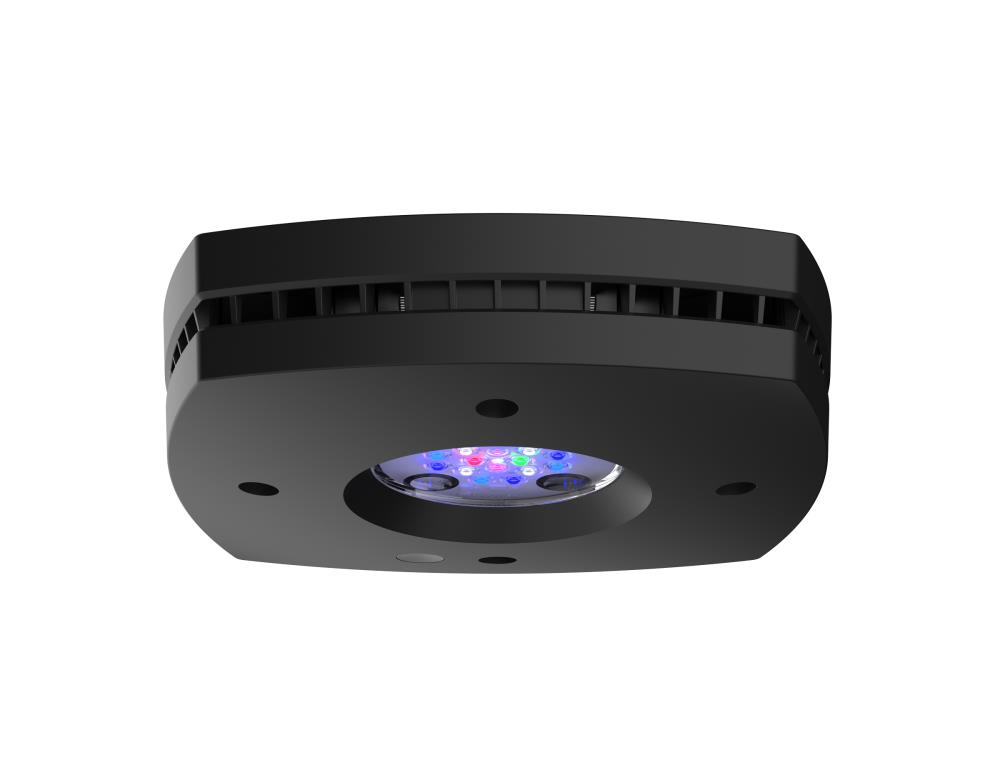 AI Prime 16HD Reef schwarz