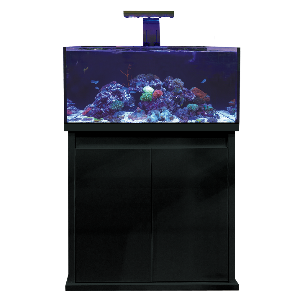 D-D Reef-Pro 900 Black -  Aquariumsystem