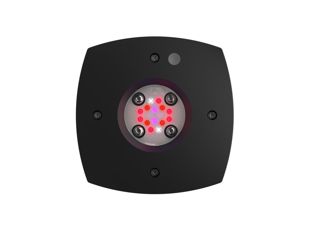 AI Prime FUGE schwarz