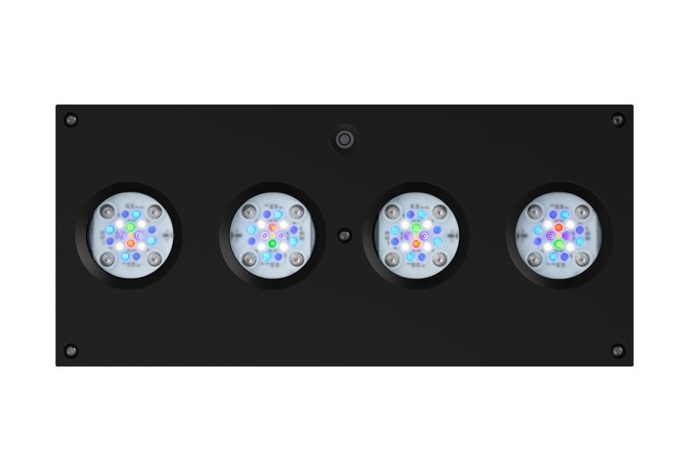 AI Hydra HD 64 LED schwarz