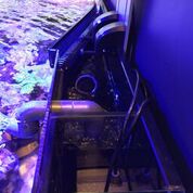 D-D Reef-Pro1200 Platinum Oak - Aquariumsystem