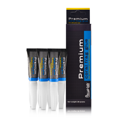 PolypLab Pro Glue (Box mit 7x4g)
