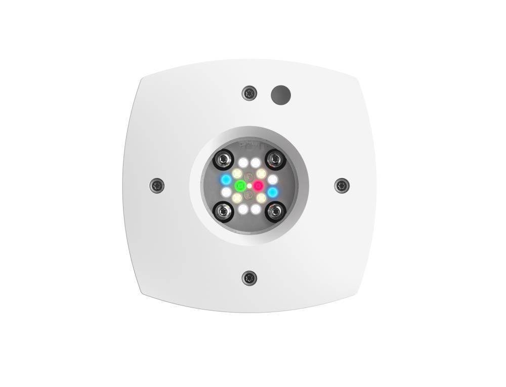 AI Prime 16HD Freshwater weiß