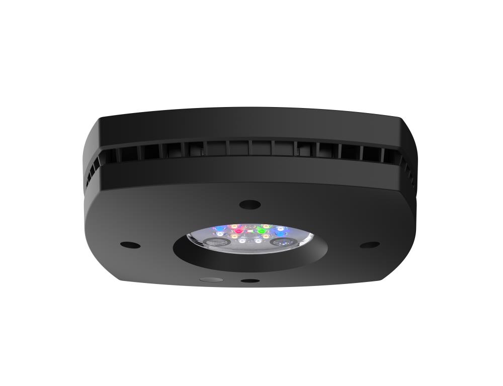 AI Prime 16HD Freshwater schwarz
