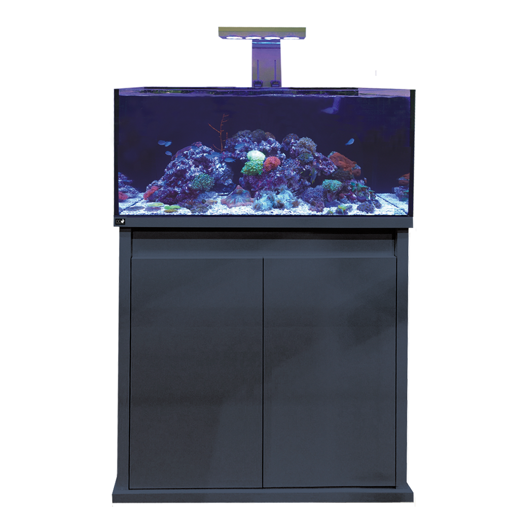 D-D Reef-Pro 900 Anthracite -  Aquariumsystem